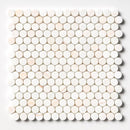 Confetti Honed Penny Round Marble Mosaics 11 1/2x11 1/2