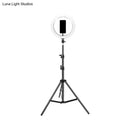 GobekUsa Contemporary Metal Round Make-Up Light with USB Port, LED Fill Flash Lamp - Black, 63"/75" Long