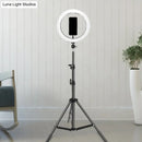 GobekUsa Contemporary Metal Round Make-Up Light with USB Port, LED Fill Flash Lamp - Black, 63"/75" Long