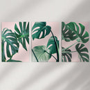 Pink Botanical 3 Piece Wall Art. Green Monstera Leaves Print by Wall Art Set