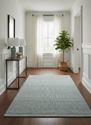 Gray and Beige Hand Knotted Wool Area Rug Contemporary Traditional Elegant Style by The Rug Decor