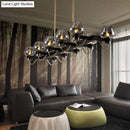 GobekUsa Contemporary Island Lamp: 10 Glass Bulbs in Clear/Amber/Smoke Suspended Fixture - Black/Brass for Bedroom