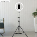 GobekUsa Contemporary Metal Round Make-Up Light with USB Port, LED Fill Flash Lamp - Black, 63"/75" Long
