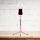 GobekUsa Contemporary Pink Metal Mobile Phone Holder with Ring Make-Up Lamp and LED Fill Flush Light
