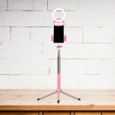 GobekUsa Contemporary Pink Metal Mobile Phone Holder with Ring Make-Up Lamp and LED Fill Flush Light