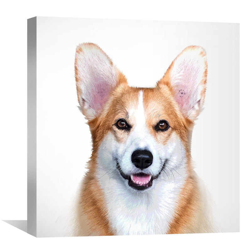 Corgi Portrait Canvas