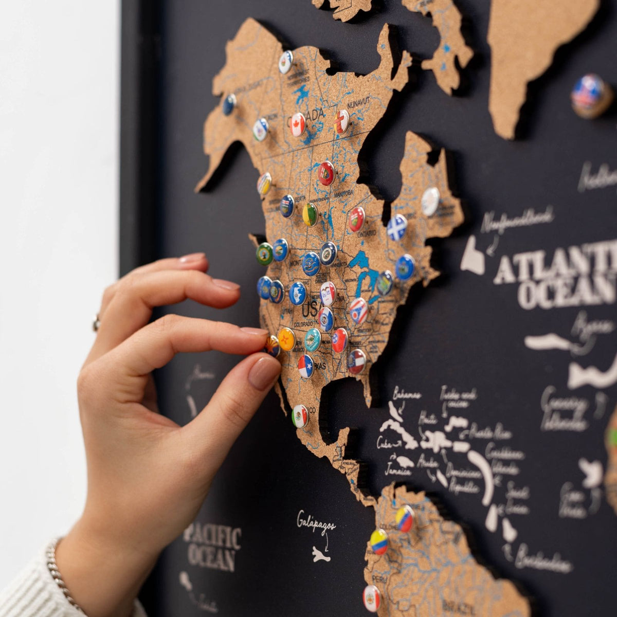 Cork Panel World Map, photo 7 of 16