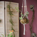 Cotton Hemp Rope Planter Hanger