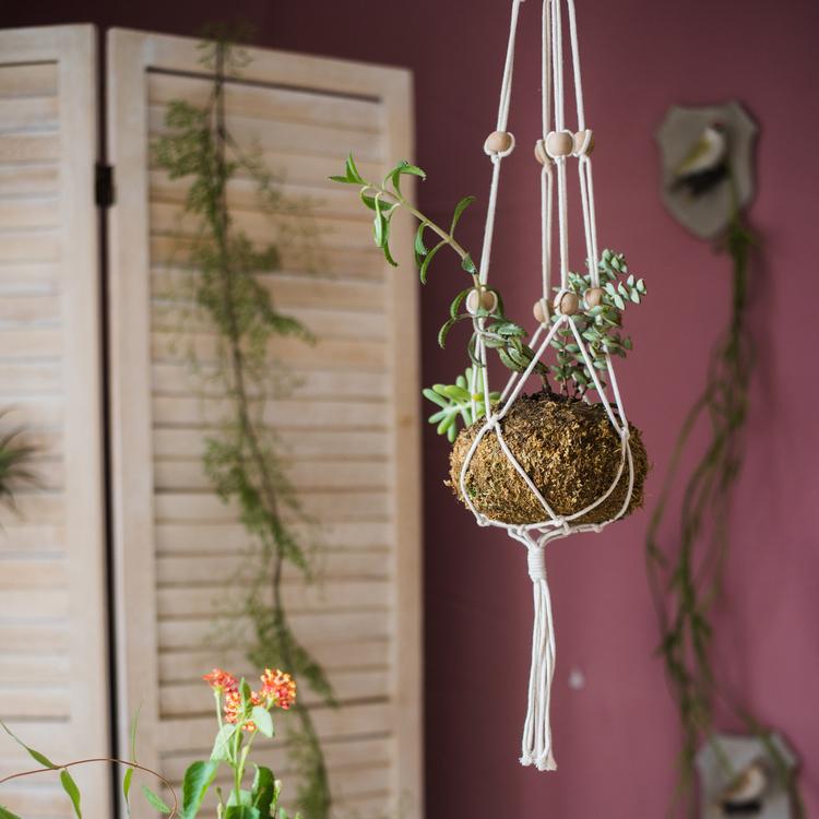 Cotton Hemp Rope Planter Hanger