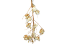 Cotton Stalk Natural Branch by Lee Display