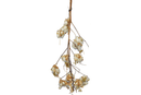 Cotton Stalk Natural Branch by Lee Display