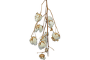 Cotton Stalk Natural Branch by Lee Display