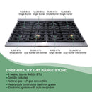 48" Slide-in Freestanding Professional Style Gas Range with 6.7 Cu. Ft. Oven, 8 Burners, AK-JK48A1-B