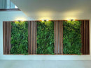 Sample Panel – Country Fern Vertical Garden (Small Sample) by Designer Plants USA