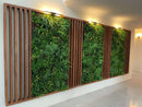 Sample Panel – Country Fern Vertical Garden (Small Sample) by Designer Plants USA