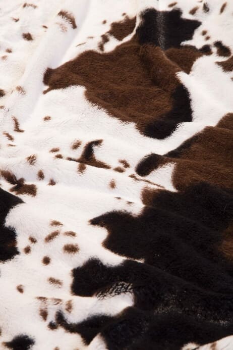 Cowhide Throw