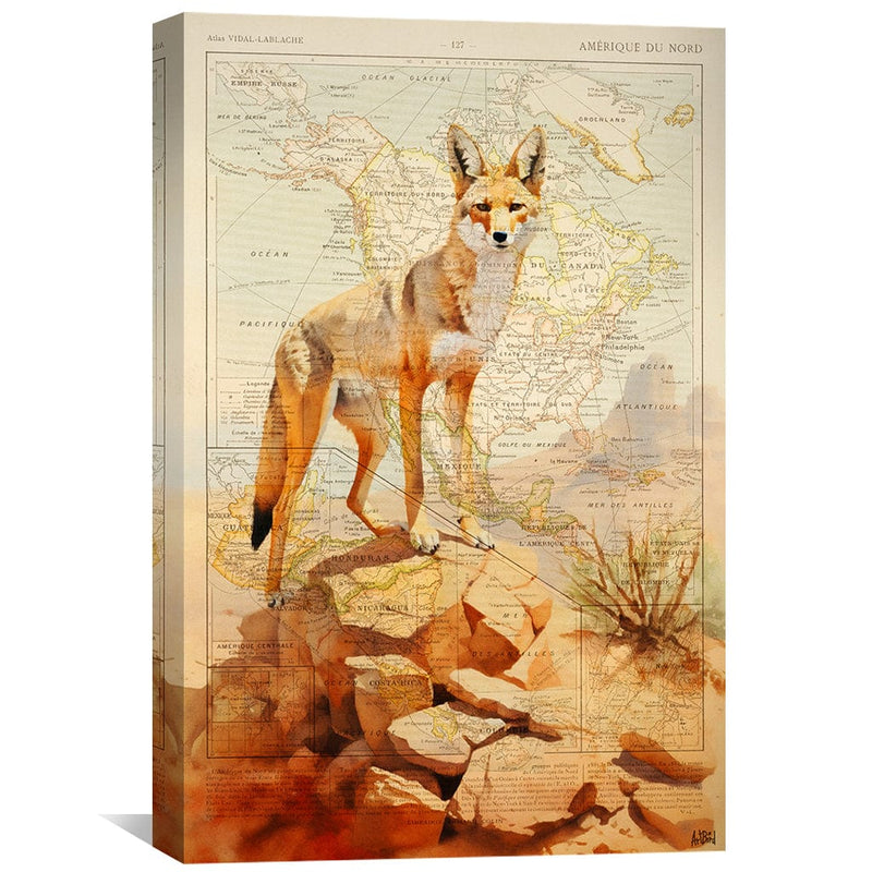 Coyote Canvas