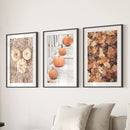 Cozy Fall Wall Art Set of 3. Pumpkins and Autumn Leaves by Wall Art Set