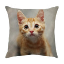 Cream cute cat face decorative cushion cover living room pillow by Decorbites