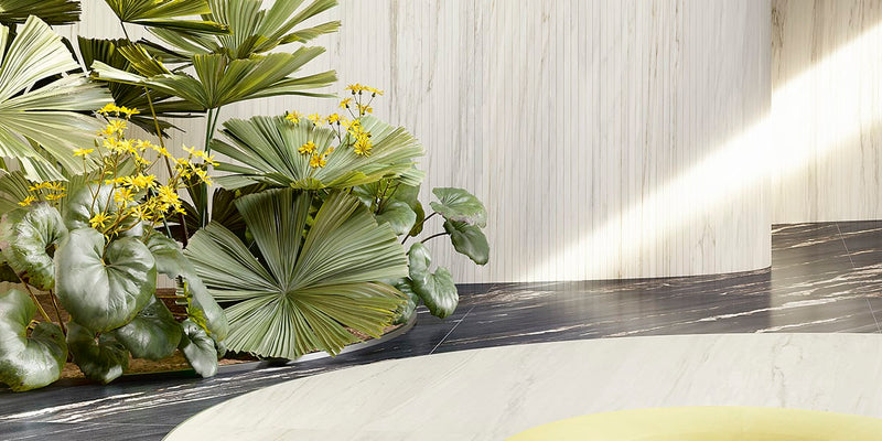 Crema Delicato Maxfine