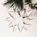 Crystal Clear Acrylic Snowflake by Lee Display