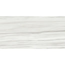 Cs 2.0 Carrara Zebrino Polished 24x48 Rec