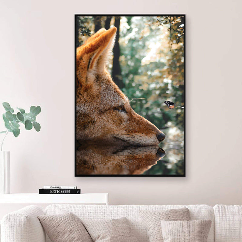 Curious Fox Canvas