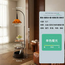 GobekUsa 3-in-1 Living Room Floor Lamp with Storage Shelf
