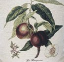 DaDa Bedding Nectarine Fruits Elegant Accent Throw Pillow Cushion Cover - 18" - 1-Piece