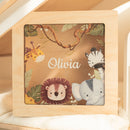 Custom Acrylic Box - Pirate