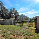 20x8 ft Steel Dual Swing Driveway Gate by Chery Industrial