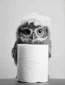 GobekUsa Cute Animals Canvas Wall Art for Bathroom