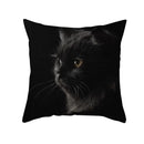 Cute black cat pillowcases bedroom animal print cushion covers by Decorbites