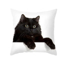 Cute black cat pillowcases bedroom animal print cushion covers by Decorbites