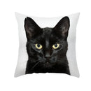 Cute black cat pillowcases bedroom animal print cushion covers by Decorbites