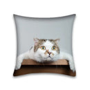 Cute cat anime pillow case – bedroom and living room square cushion by Decorbites
