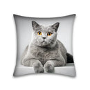 Cute cat anime pillow case – bedroom and living room square cushion by Decorbites