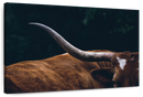 Cow Texas Longhorn Wall Art