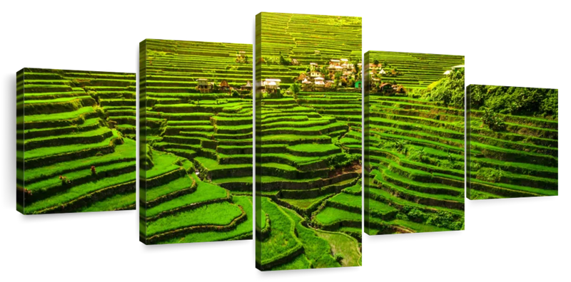 Historic Ifugao Rice Terraces Wall Art