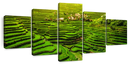 Historic Ifugao Rice Terraces Wall Art