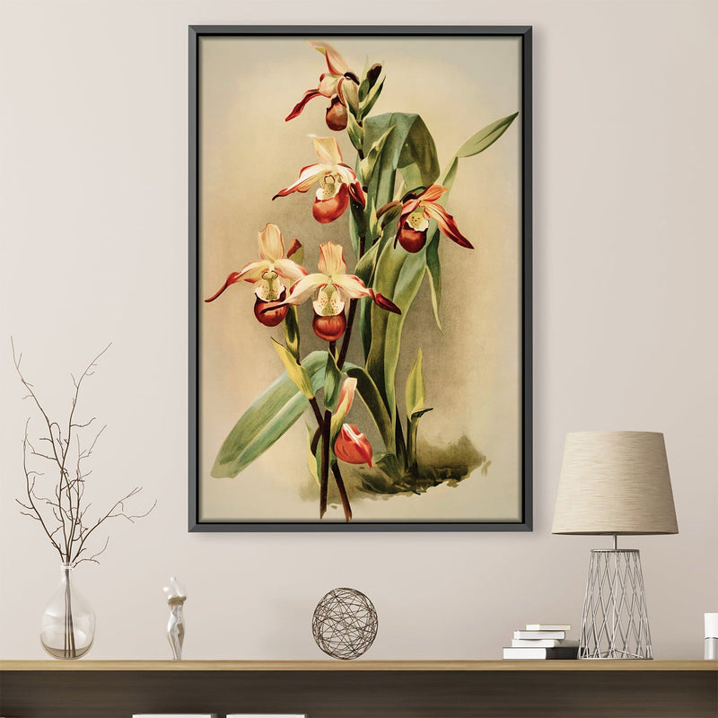 Cypripedium Orchid Canvas