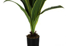 47" Tall Artificial Dracaena Tree Indoor Faux Plant by HouseOfZazla