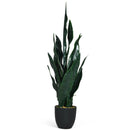 35.5 Inch Indoor-Outdoor Artificial Fake Snake Plant by LJGDeals