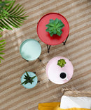 Set of 4 Multicolor Round Nesting Plant Stands