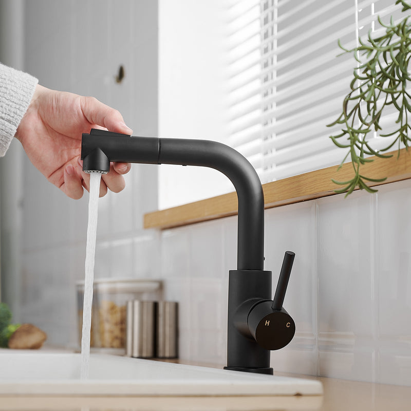 Black Kitchen Sink Faucet with Pull Down Sprayer, photo 9 of 10
