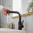 Black Kitchen Sink Faucet with Pull Down Sprayer