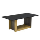 Modern TV Stand And Coffee Table (Set of 2) by Unique Piece Furniture