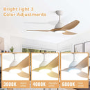 Bredoom Ceiling Fan With Remote Control And LED Light, Blades, Reversible DC Motor For Indoor / Outdoor Use by Unique Piece Furniture