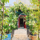 Metal Garden Arch with Adjustable Width for Climbing Plants by HouseOfZazla