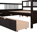 Multifunctional Modern Daybed